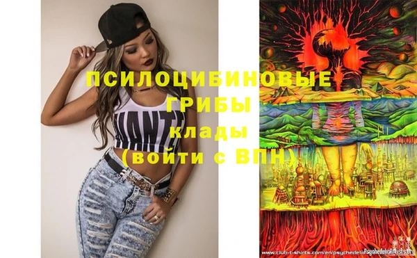 МДПВ Алексеевка