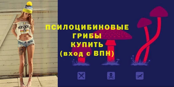 МДПВ Алексеевка