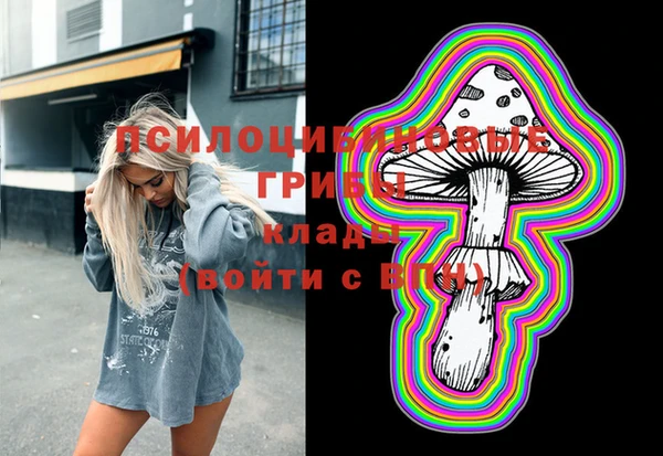 МДПВ Алексеевка